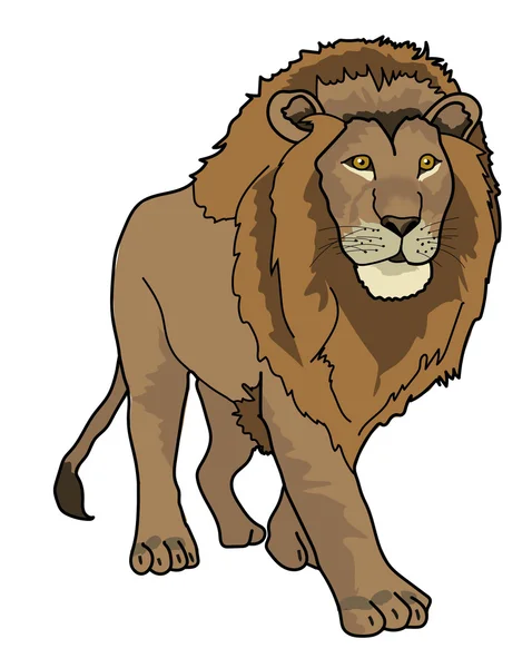 üç çeyrek aslan