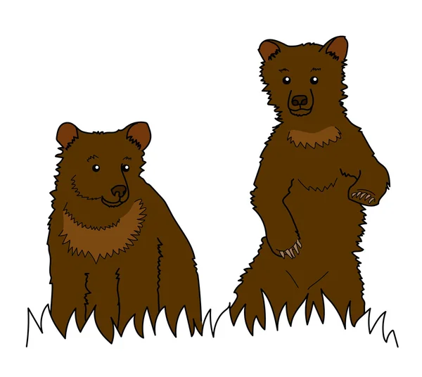 Dos osos marrones —  Fotos de Stock