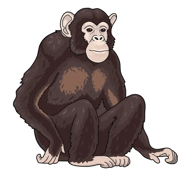 Ein brauner Affe in einem Dreivierteljahr — Stockfoto