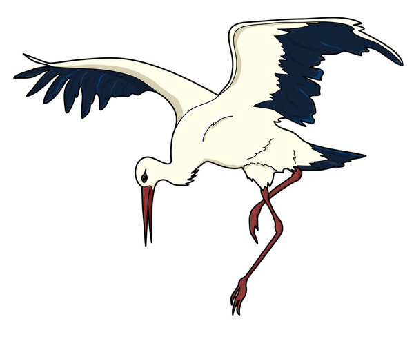 Stork standing on one leg