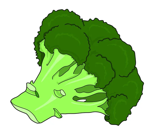 Zelené brokolice zelenina — Stock fotografie