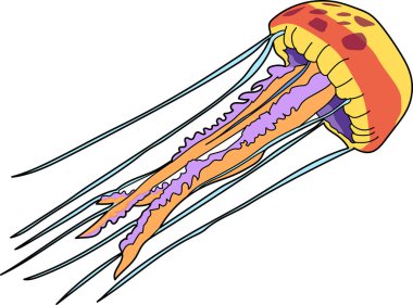 Deniz jöle çok renkli