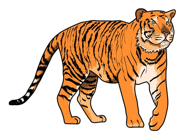 Bengal kaplanı profili