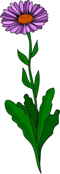 Bir Aster çiçek