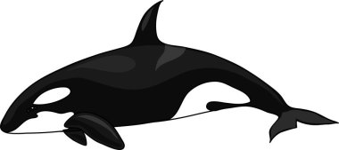 Resmi polis Orca