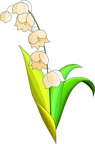 Vadinin Zambakları