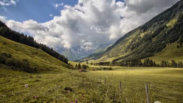 Timelapse на горі з полем і хмарами — стокове відео