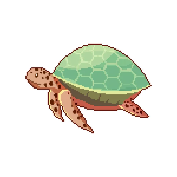 Pixelschildkröte Pixelart Bit — Stockvektor