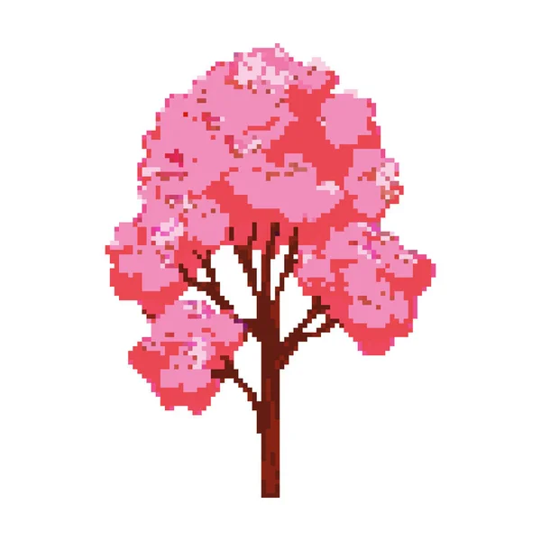 Δέντρο Pixel Sakura Pixel Τέχνη Bit Διάνυσμα — Διανυσματικό Αρχείο