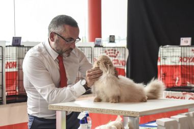 Sergi MIMASCOTA.
