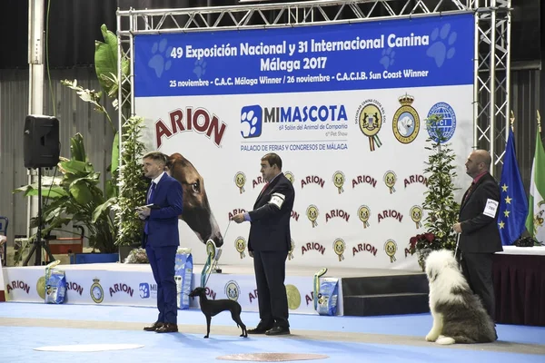 Fuar Mimascota Malaga