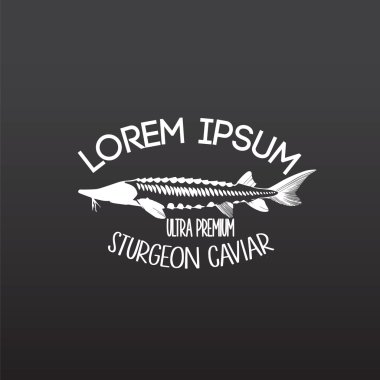 Havyar konsept tasarımları