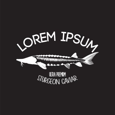 Havyar konsept tasarımları