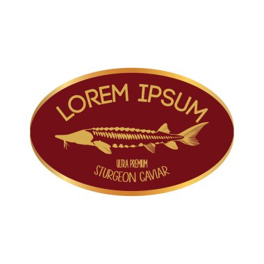 Havyar konsept tasarımları