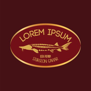 Havyar konsept tasarımları