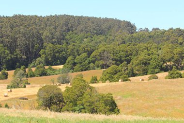 çiftlik ve Avustralya manzara