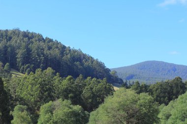 Avustralya bush ve tarım arazisi