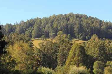 Avustralya bush ve tarım arazisi