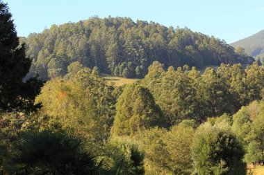 Avustralya bush ve tarım arazisi