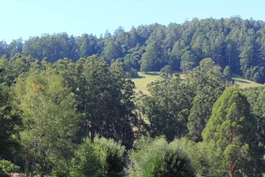 Avustralya bush ve tarım arazisi