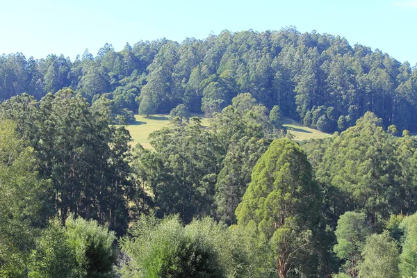 Australian Bush Och Jordbruksmark — Stockfoto