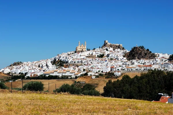 Vista de la ciudad blanca con olivares en primer plano, Olvera, España . —  Fotos de Stock