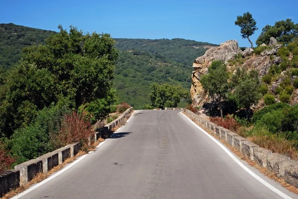 Silnice přes horský Les, Sierra de los Alcornocales, Španělsko. — Stock fotografie