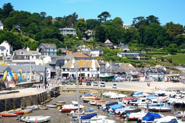 Lyme Regis şehrine bakan limanda demirlemiş tekne ve yatlar.