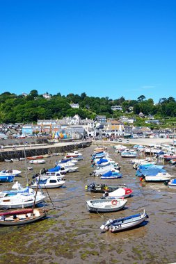 Lyme Regis şehrine bakan limanda demirlemiş tekne ve yatlar.