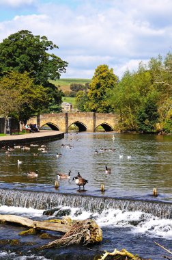 Ön planda bir weir ile ortaçağ köprü doğru Wye Nehri boyunca görünümü, Bakewell.