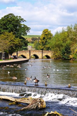 View along the River Wye towards the medieval bridge with a weir in the foreground, Bakewell. clipart