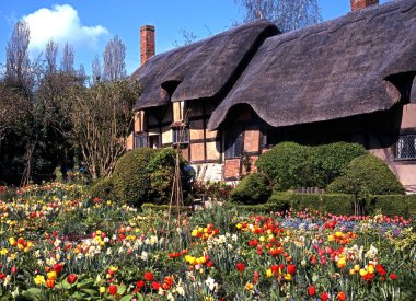 Ön planda çiçek bahar ampulleri ile Anne Hathaways Cottage, Shottery, Stratford-upon-Avon.