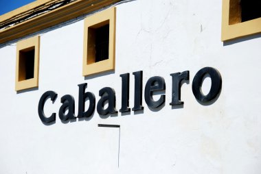 Plaza De Elias Ahuja, El Puerto de Santa Maria, İspanya boyunca cakır Bodega.