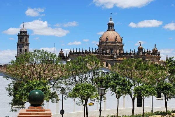 Vista de la Catedral, Jerez de la Frontera, España . —  Fotos de Stock