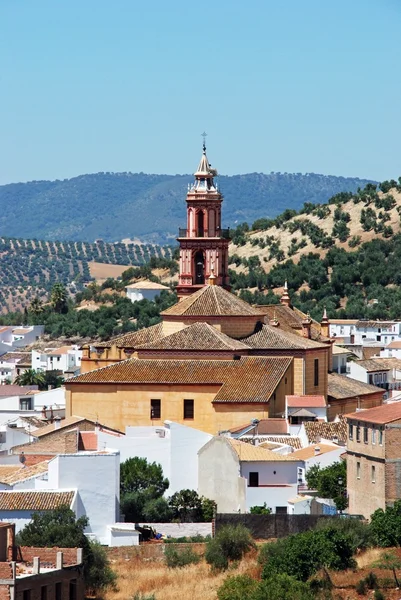 Vista general de la ciudad con olivares en la parte trasera, Algodonales, España . — Foto de Stock