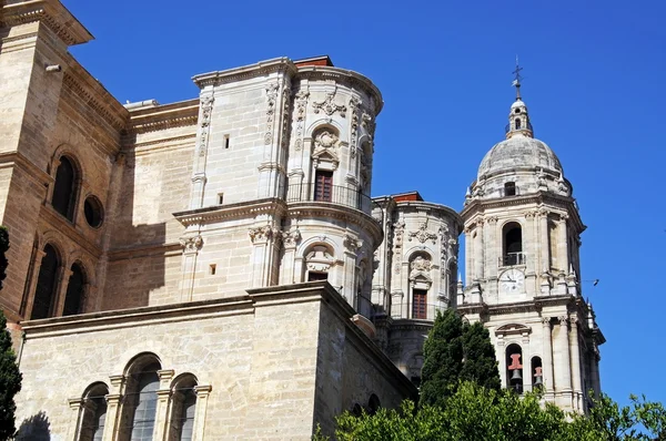 Katedrali (Catedral La Manquita) ve çan kulesi, Malaga, İspanya. — Stok fotoğraf