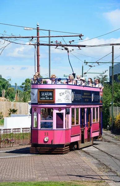 Bir açık tepesinde Seaton elektrikli tramvay tramvay görünümünü turist, Seaton Paketli.