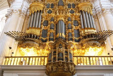 Organ borular içinde Santa Maria de la Encarnacion Katedrali, Granada, İspanya.