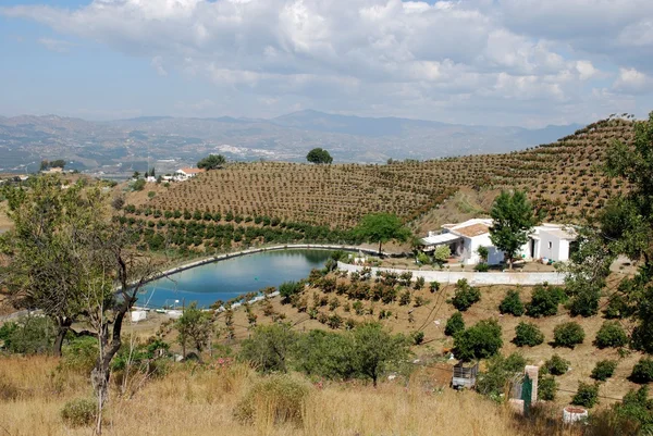 Country finca with its own lake near Velez Malaga, Spain. — Stock Photo, Image