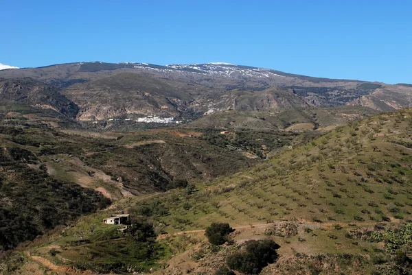 Vista do campo e das montanhas da Serra Nevada perto de Torvizcon, Espanha . — Fotografia de Stock