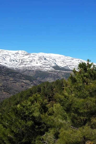 Vista sobre a paisagem montanhosa em direção à Serra Nevada nevada, Trevelez, Espanha . — Fotografia de Stock