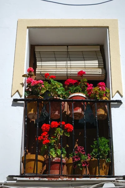 Balcony with ironwork grills and flowers, Ronda, Spain. — Stockfoto