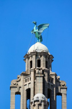 The Liver Bird on top of The Royal Liver Building, Liverpool, UK. clipart