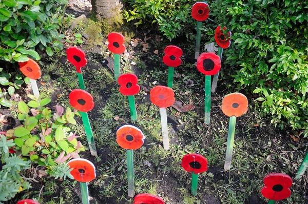 在什鲁斯伯里，英国鲗鱼涌公园丁格尔正式花园木制纪念罂粟花. — 图库照片