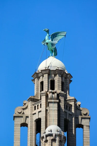 在英国利物浦皇家肝脏大厦肝鸟. — 图库照片