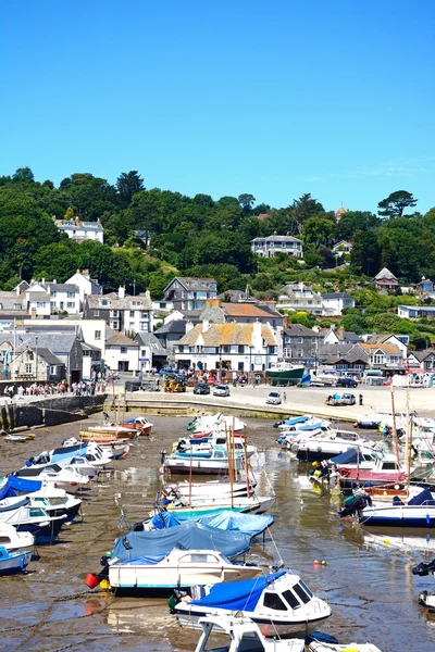 Owies i jachty zacumowane w porcie z widokiem na miasto, Lyme Regis, Wielka Brytania. — Zdjęcie stockowe