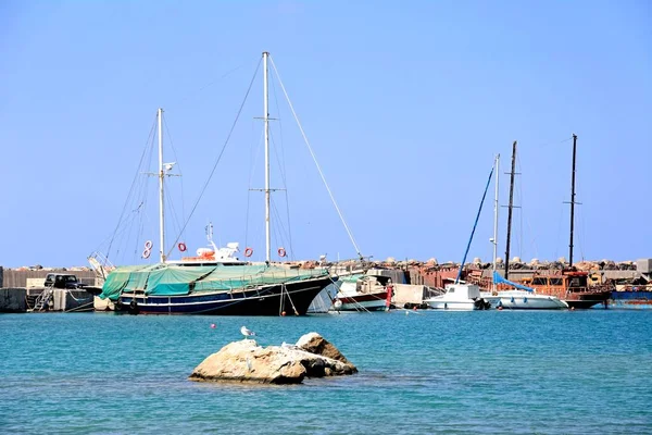 Barche ormeggiate nel porto con un gabbiano in piedi su una roccia in primo piano, Malia, Creta . — Foto Stock