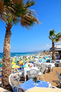 Restoran ve Washington plaj ve deniz, Stalida, Crete görüş kenarına palmiyeler.