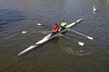 Coxless çift kürek River Avon, Stratford-Upon-Avon, İngiltere.