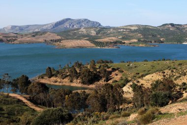 Guadalteba Lake, yakın Ardales, Ispanya.